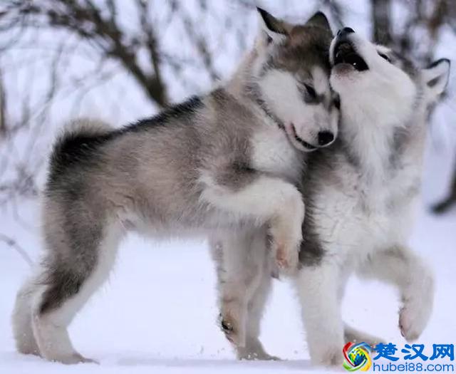 美国那么多州，如何才能分得清？