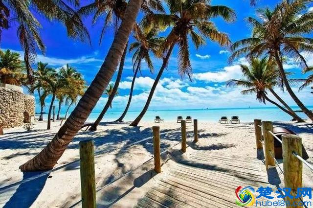 美国那么多州，如何才能分得清？