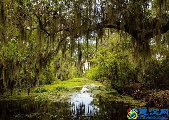 美国那么多州，如何才能分得清？