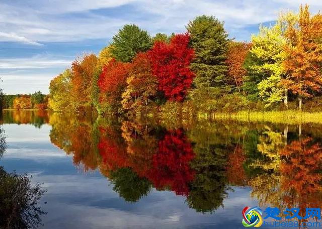 美国那么多州，如何才能分得清？