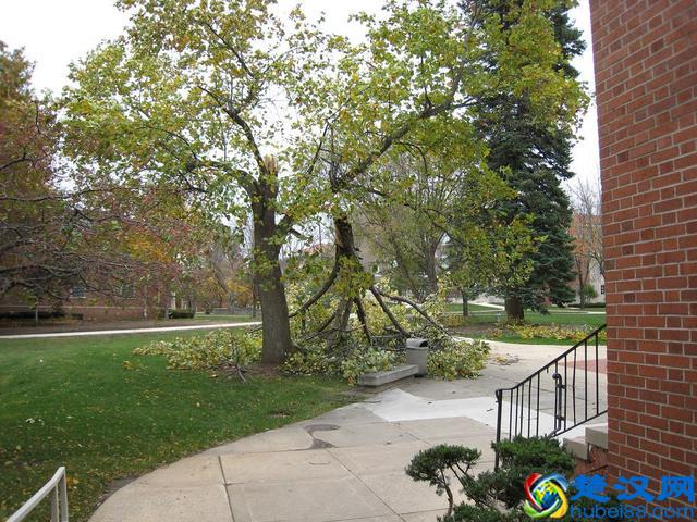 芝加哥州立大学 这所州立大学详情解说