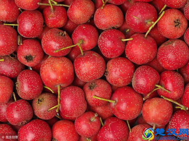 消化不良胃胀气，别总傻傻吃胃药！吃这三种水果就对了