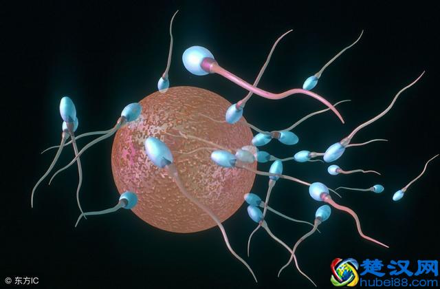 吃毓婷对女性有什么好处？经常服用紧急避孕药有哪些副作用