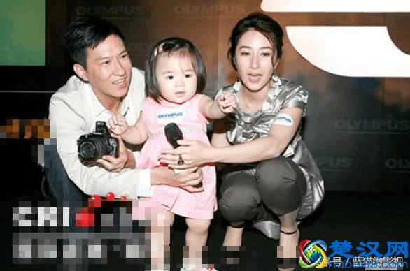 张家辉和张学友的关系，为何迟迟不公开？