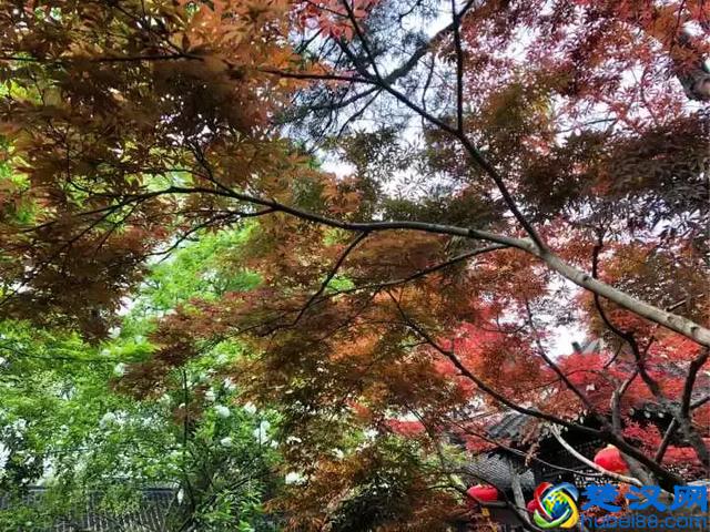 扬州有什么好玩的地方值得推荐？