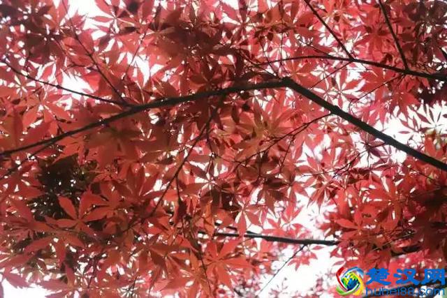 扬州有什么好玩的地方值得推荐？