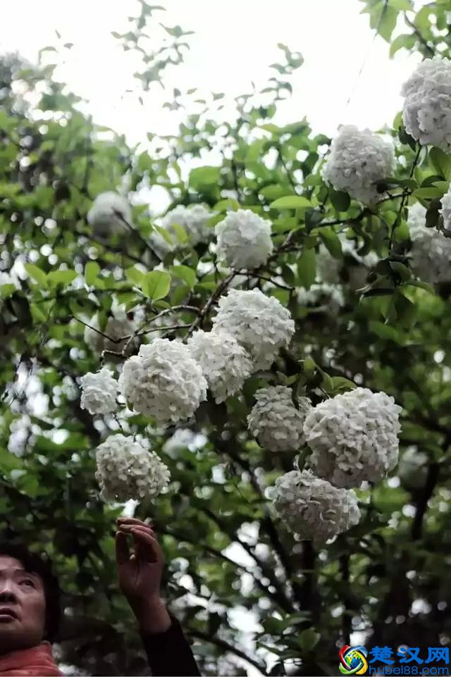 扬州有什么好玩的地方值得推荐？