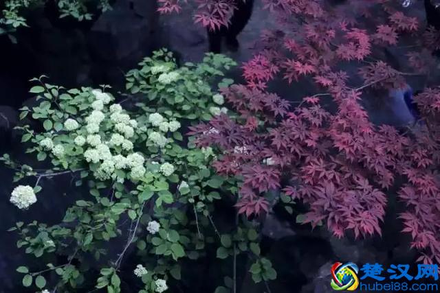 扬州有什么好玩的地方值得推荐？