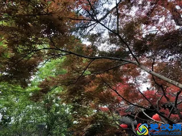 扬州有什么好玩的地方值得推荐？