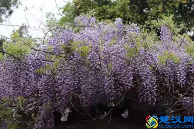 扬州有什么好玩的地方值得推荐？