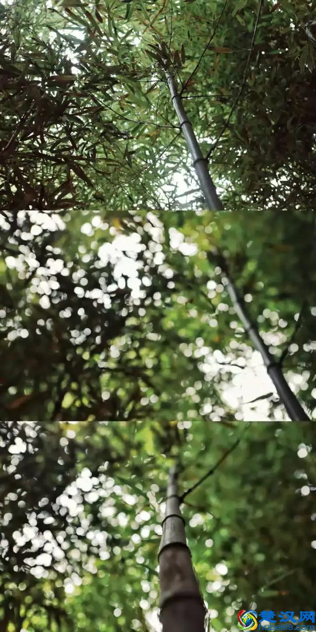 扬州有什么好玩的地方值得推荐？