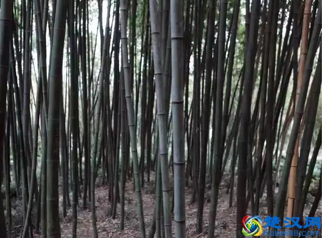 扬州有什么好玩的地方值得推荐？