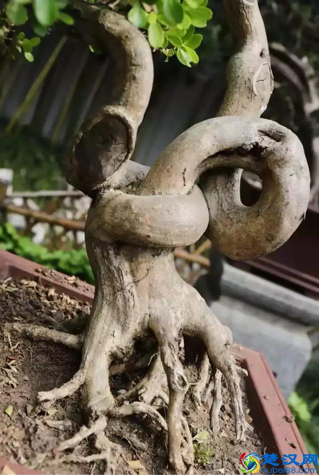 扬州有什么好玩的地方值得推荐？