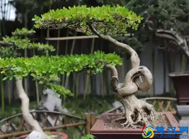 扬州有什么好玩的地方值得推荐？