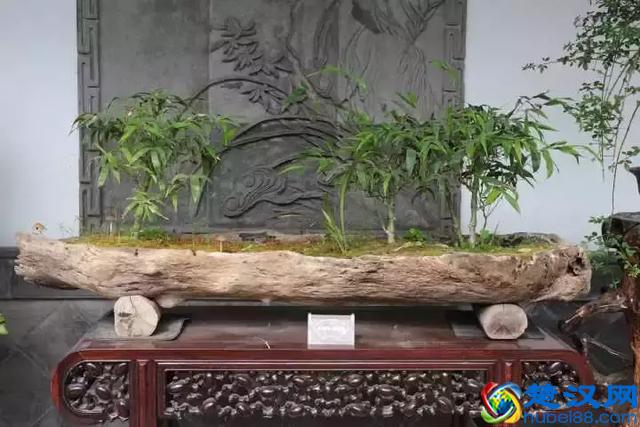 扬州有什么好玩的地方值得推荐？