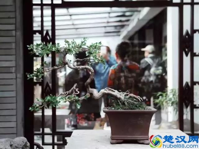 扬州有什么好玩的地方值得推荐？