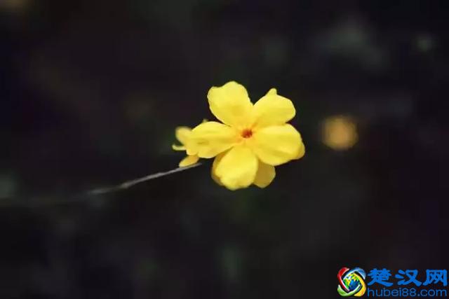 扬州有什么好玩的地方值得推荐？