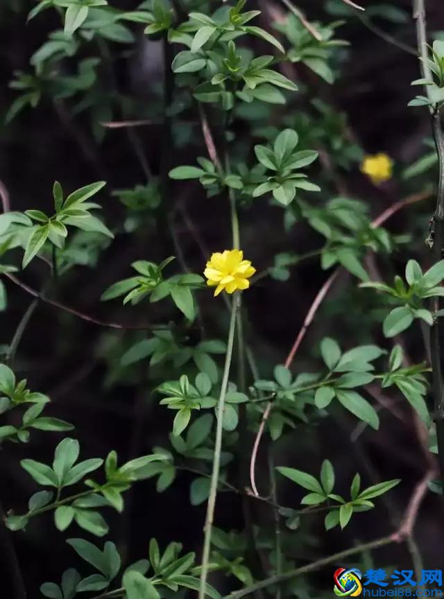 扬州有什么好玩的地方值得推荐？