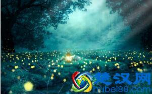 萤火虫为什么会发光？