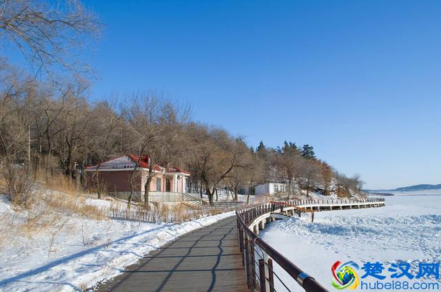 诺如病毒是什么？为什么冬季大家都要防着它