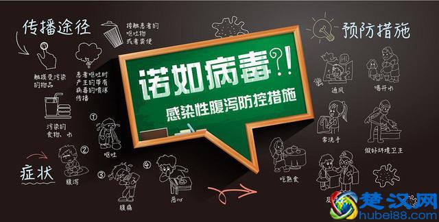 诺如病毒是什么？为什么冬季大家都要防着它