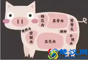 五花肉、里脊肉……不同部位的肉适合做什么菜！一张表告诉你！