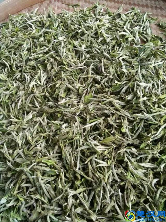 白茶是什么茶 何为白茶 白茶的功效与作用及禁忌