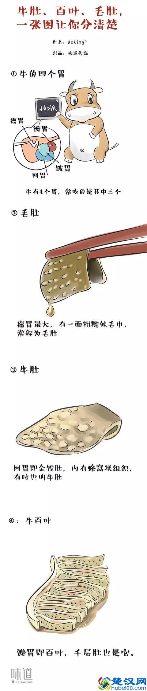 毛肚和百叶有什么区别？千万别告诉我一黑一白