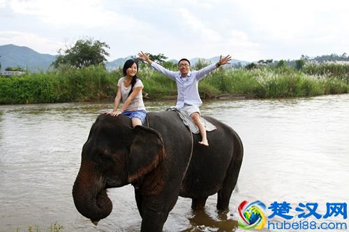 什么是屌丝 屌丝的标准有哪些