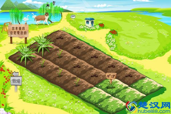 为什么当初QQ农场会那么火?难道是我们人人都有个“种地”的梦