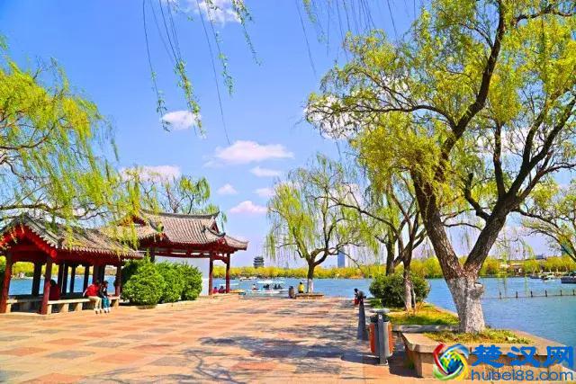 济南为什么叫泉城？