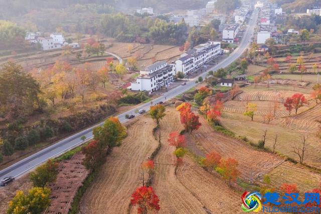 农民赚钱好方法，几个值得分享的农村人发家致富好项目