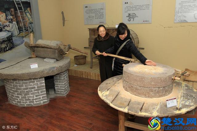 农民赚钱好方法，几个值得分享的农村人发家致富好项目