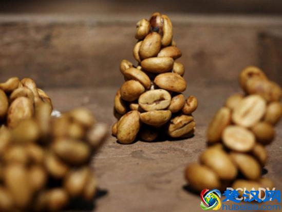 猫屎咖啡的由来 世界最昂贵咖啡