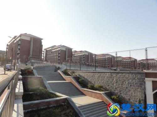 各类重点学科很多，比起青岛理工，青岛科技大学才是重点大学