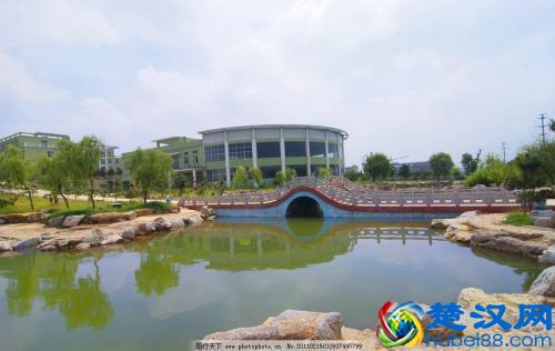 各类重点学科很多，比起青岛理工，青岛科技大学才是重点大学