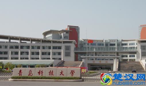 各类重点学科很多，比起青岛理工，青岛科技大学才是重点大学