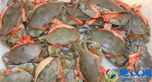 青蟹怎么保存不会死 青蟹死了还能吃吗