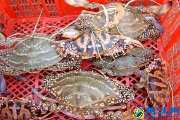 花蟹怎么杀 花蟹怎么洗