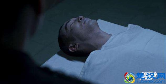 在《破冰行动》中频繁出现的东莨菪碱是什么？为什么能害人？