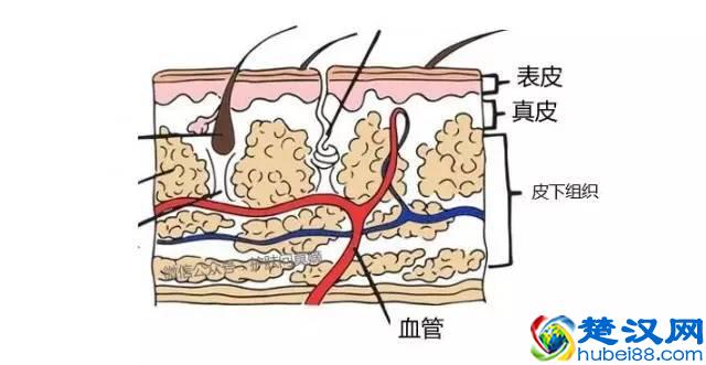 去红血丝护肤品，有用吗？