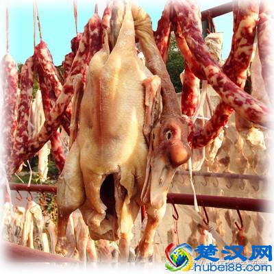 扒一扒长丰县吴山贡鹅历史:贡鹅发源地是合肥还是寿县呢