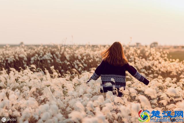 四川大学大学2019年日语语言文学考研 经验分享