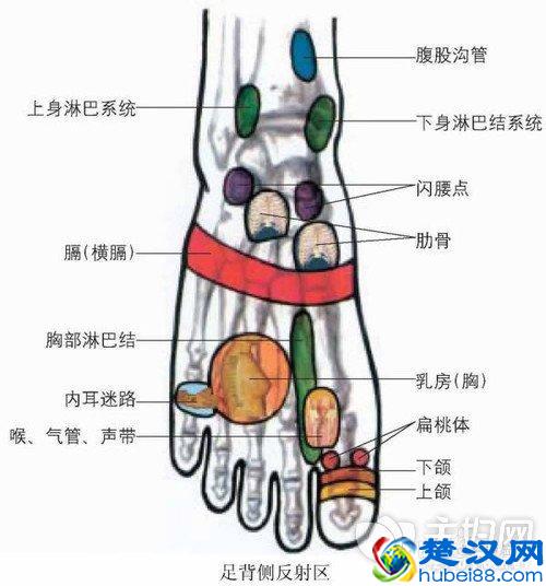 鱼刺卡在喉咙怎么办 6种生活小窍门软化鱼刺