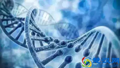 辟谣｜虾青素能美白祛斑抗癌？基因检测能预防疾病？真相是……