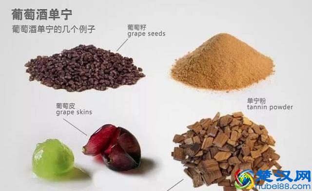 一直对单宁这个概念一知半解的你，看完这篇就都能整明白了