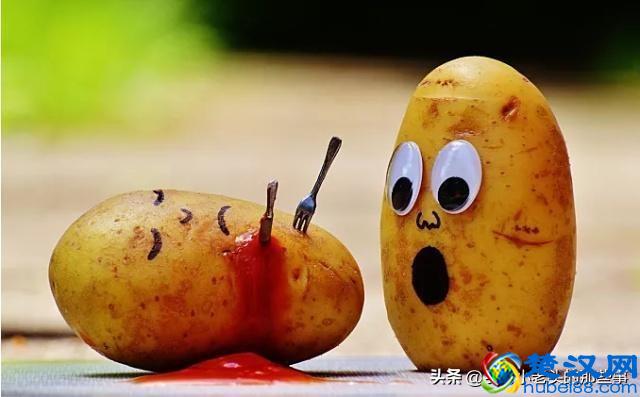 土豆、洋芋、马铃薯是什么关系，老农妙语解疑惑，说的对吗