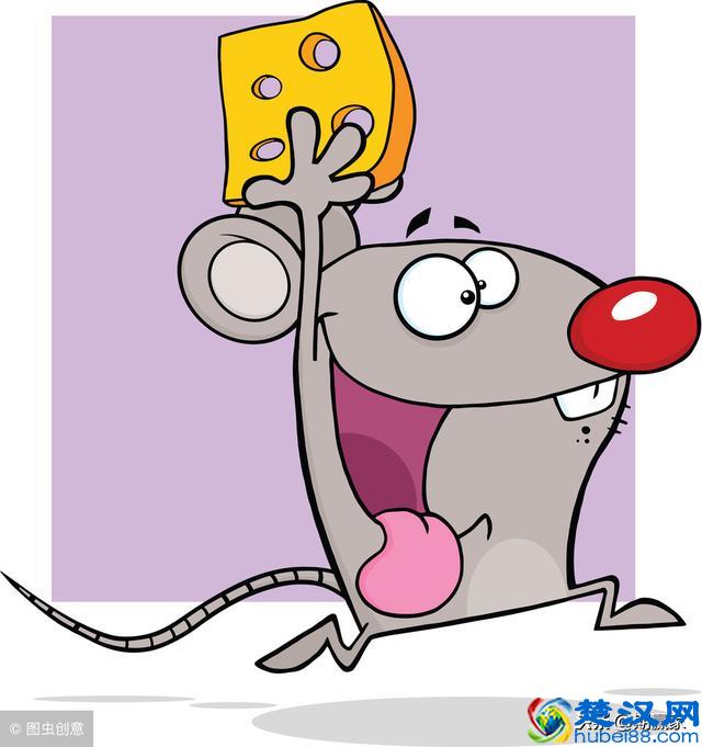 半仓、满仓，抵不过老鼠仓