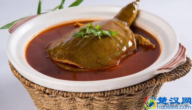 甲鱼的做法大全，喜欢的就收藏起来吧