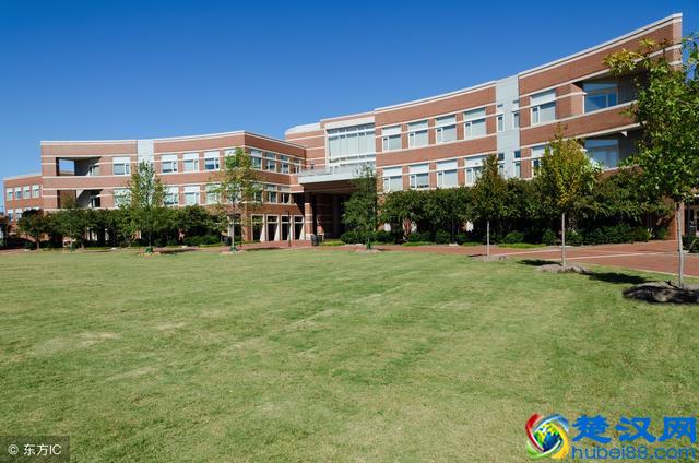 大学里面比较有趣的活动有哪些呢？